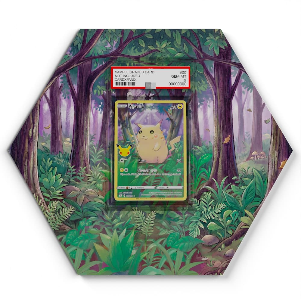 005/025 Pikachu Pokémon Card Artwork Hexagon Display