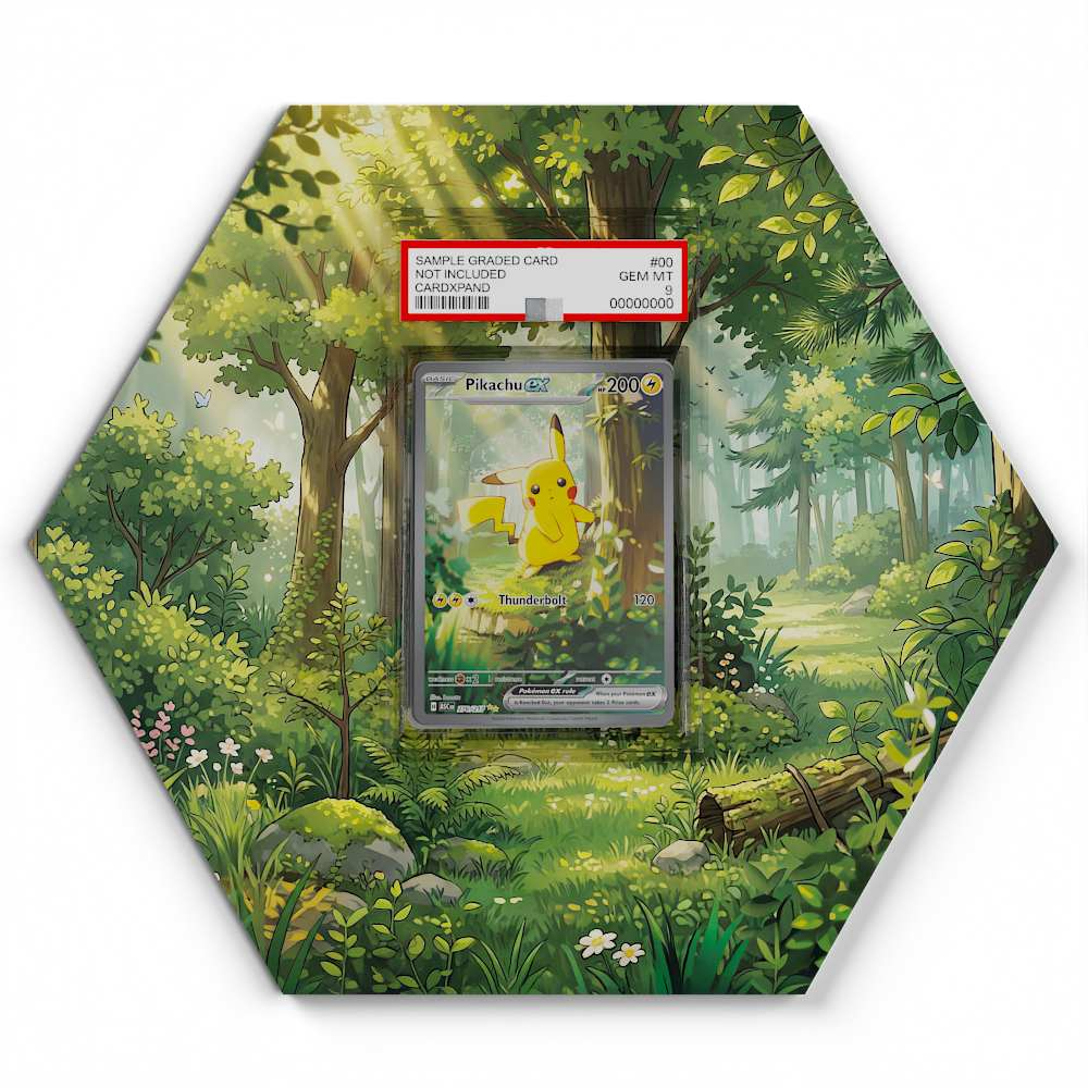 276/217 Pikachu EX Pokémon Card Artwork Hexagon Display