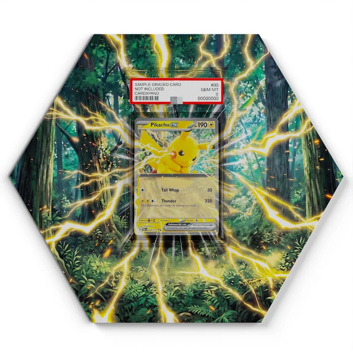 028131 Pikachu EX  Pokémon Card Artwork Hexagon Display