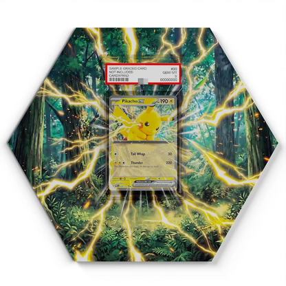 028131 Pikachu EX  Pokémon Card Artwork Hexagon Display