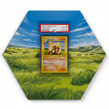 23/102 Arcanine  Pokémon Card Artwork Hexagon Display