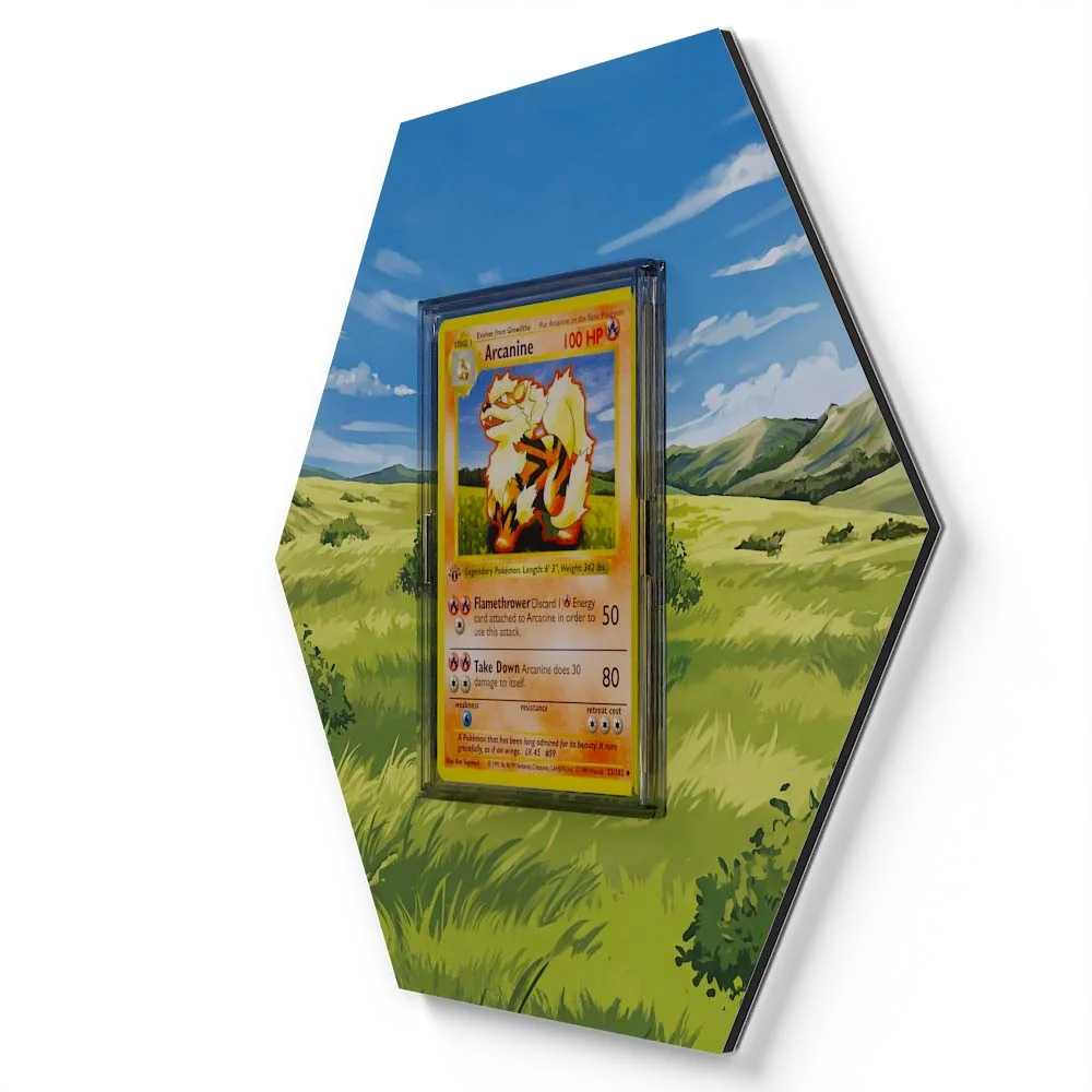 23/102 Arcanine  Pokémon Card Artwork Hexagon Display