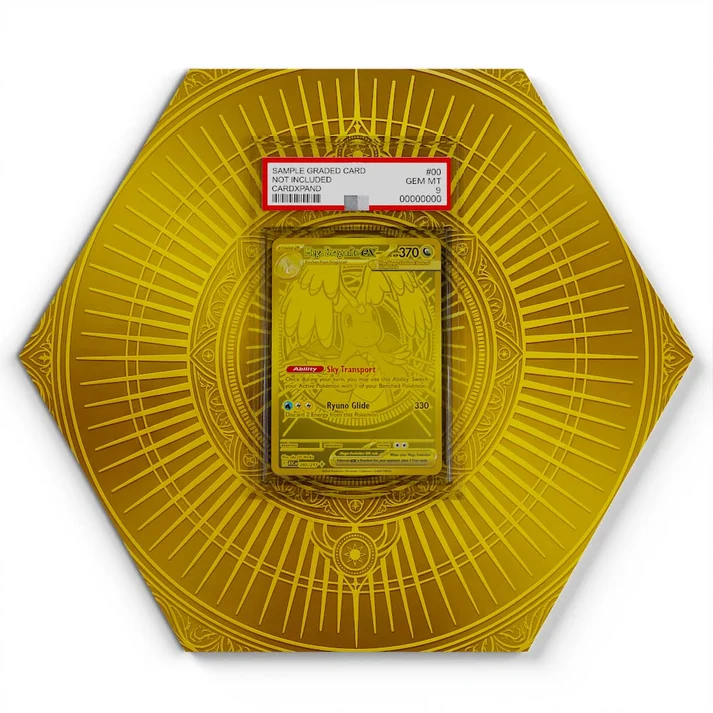 295/217 Mega Dragonite EX Pokémon Card Artwork Hexagon Display