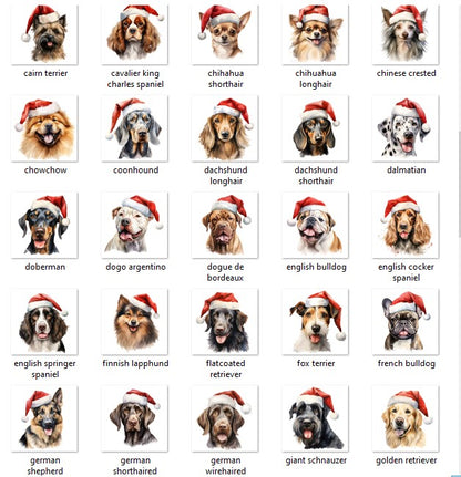 Personalized Photo Name Pet Dog Cat Custom Dog's Hoodie