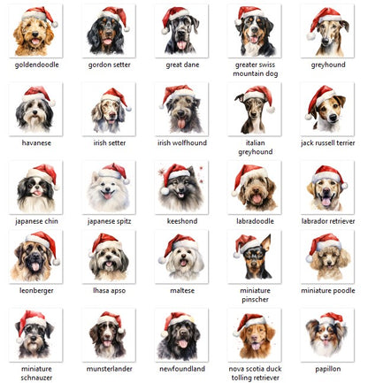Personalized Photo Name Pet Dog Cat Custom Dog's Hoodie
