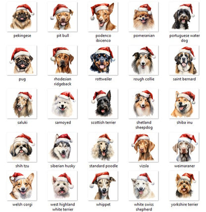 Personalized Photo Name Pet Dog Cat Custom Dog's Hoodie