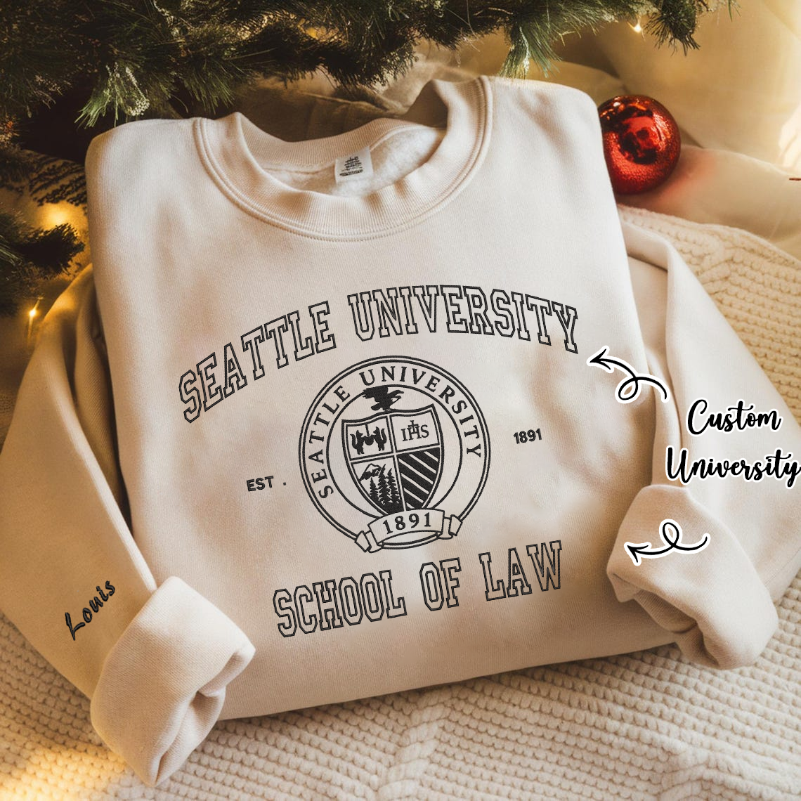 Personalized Embroidered Custom University Hoodie Sweatshirt T-Shirt